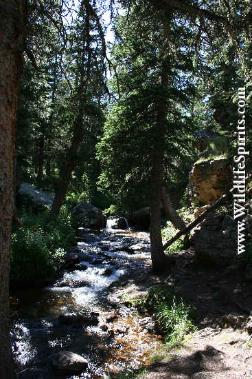 Click Picture to send as an  E-PostCard 63k 367x550
